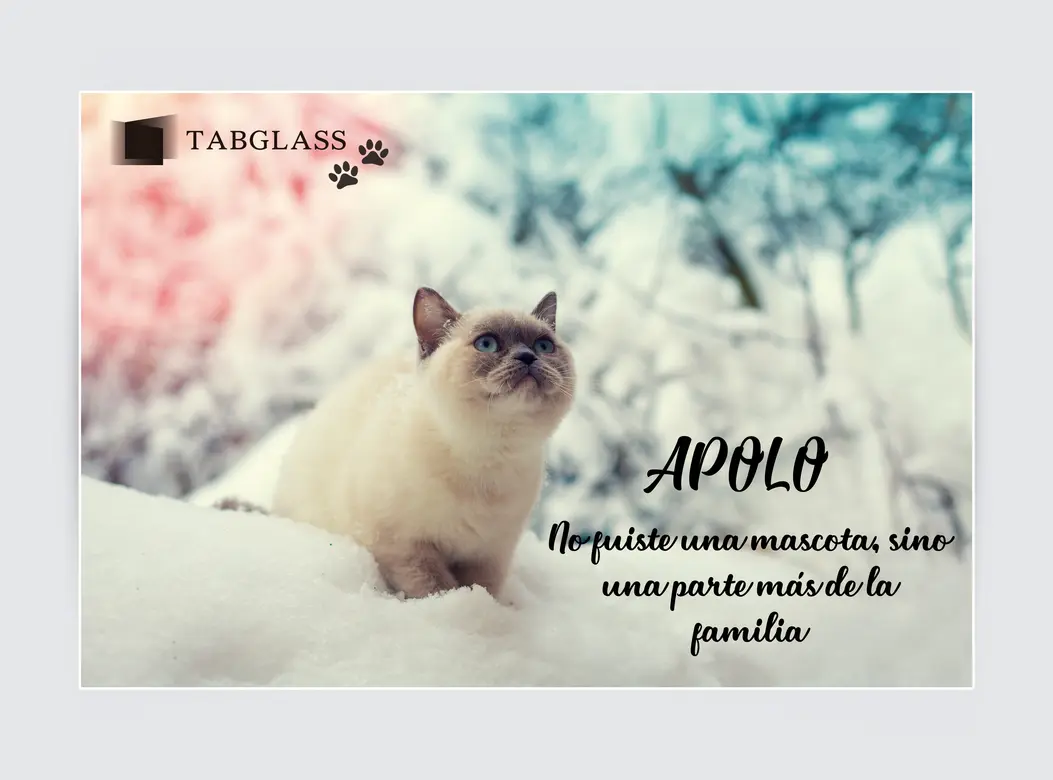tabglass apolo